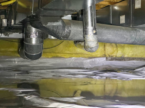 Best 24-hour water damage restoration  in St Louis Park, MN